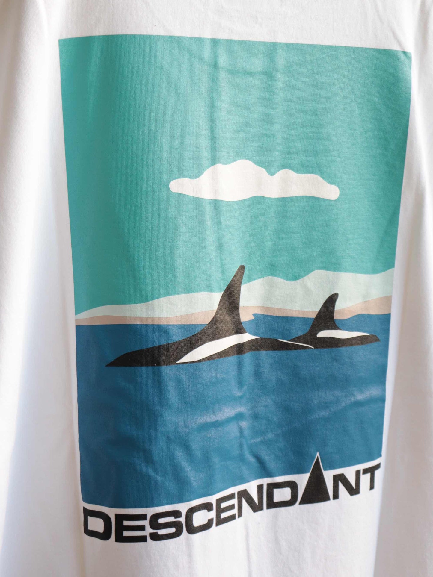 ENVIRONMENT ORGANIC COTTON SS