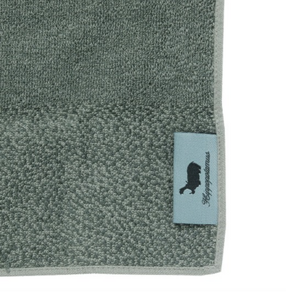 TPES-AC05 HAND TOWEL