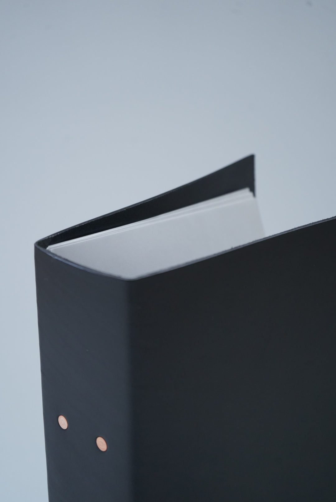 A4 2-HOLE BINDER