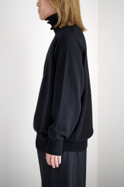 EXTRA FINE WOOL KNIT TURTLE NECK LS