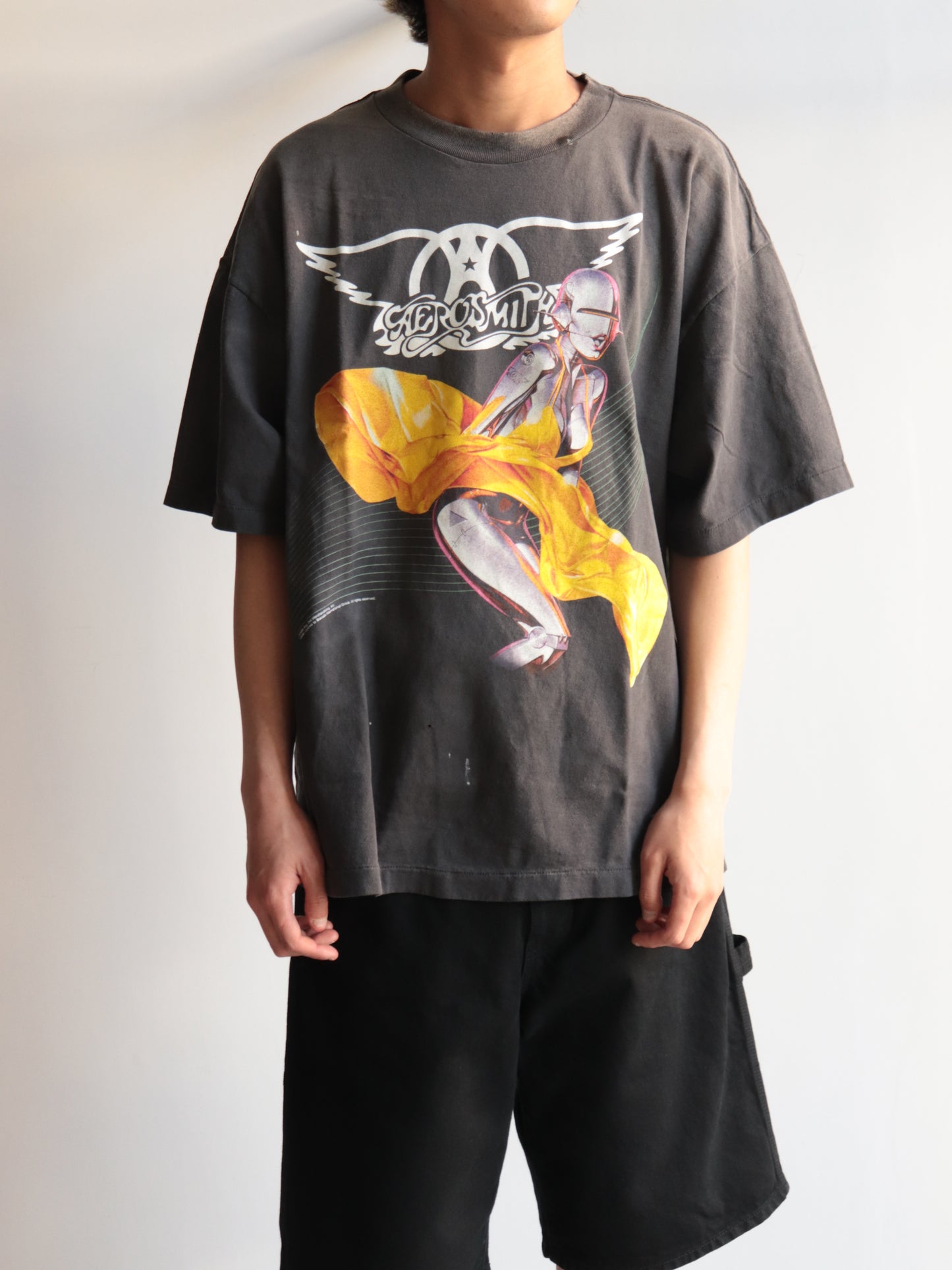 C25/ AS_SS T-SHIRT / AEROSMITH