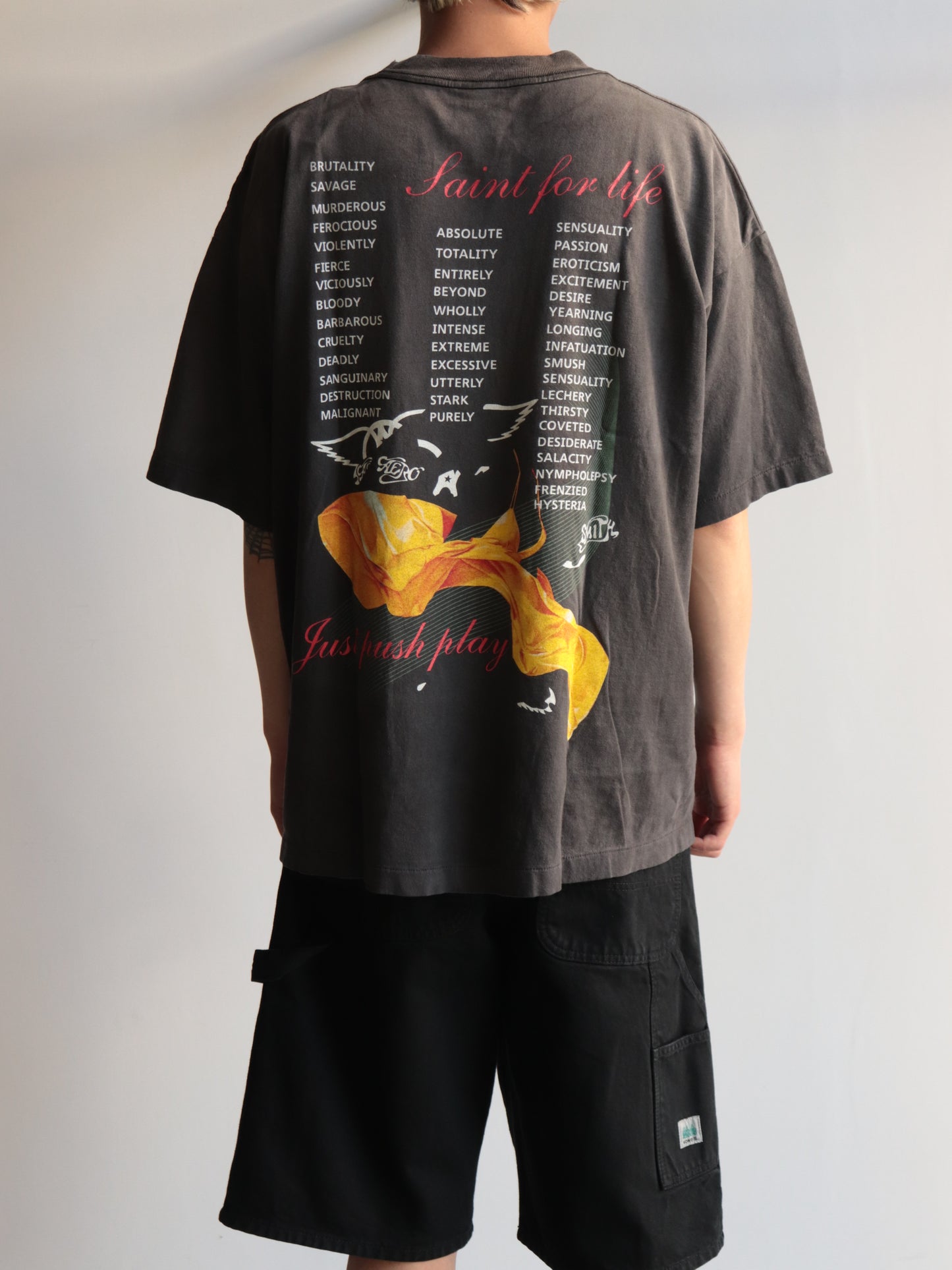 C25/ AS_SS T-SHIRT / AEROSMITH