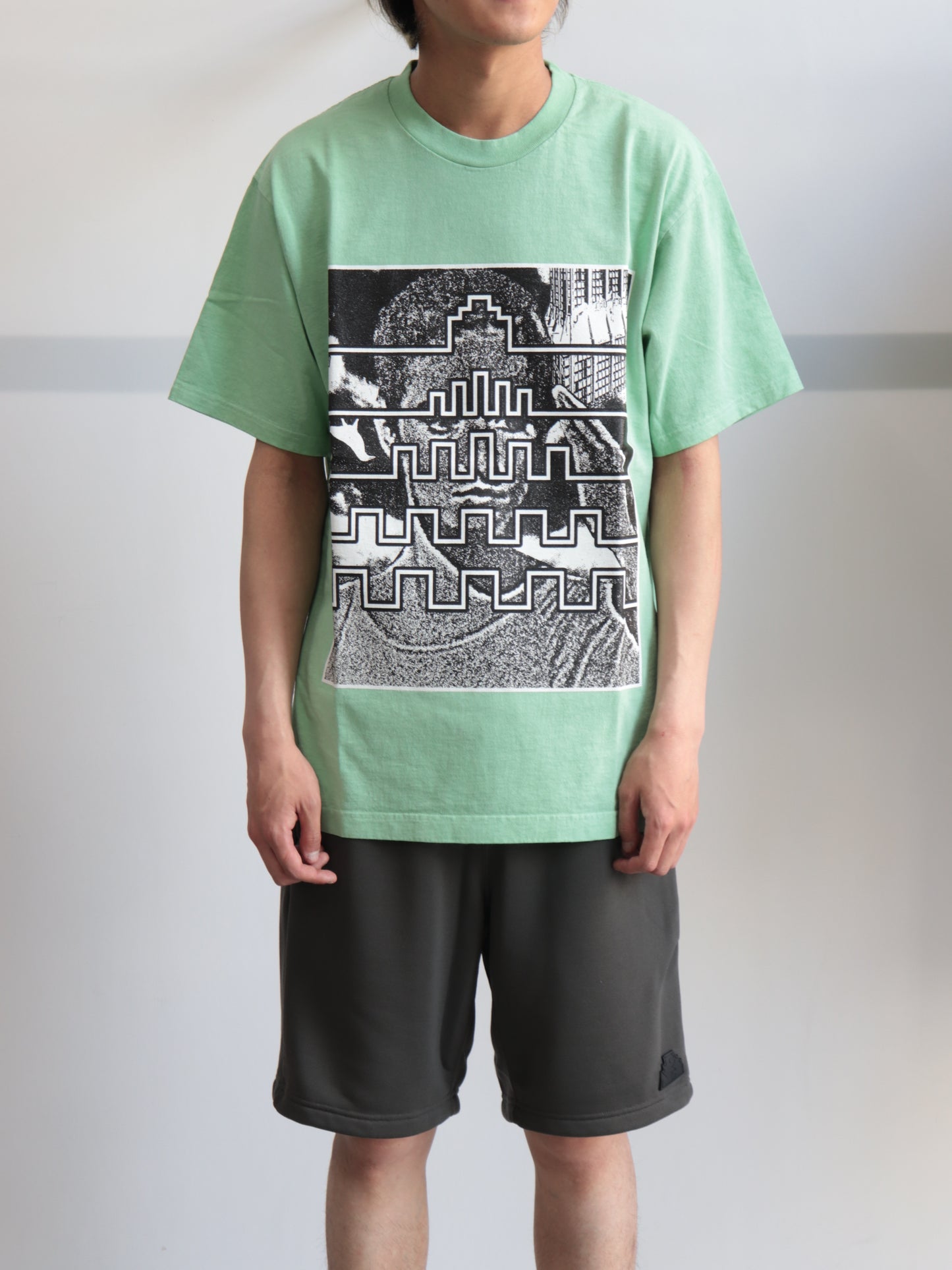 OVERDYE PARADIGM T