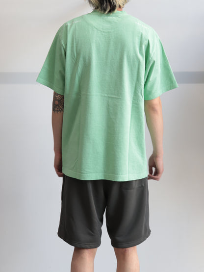 OVERDYE PARADIGM T