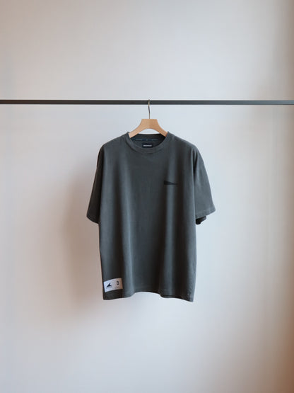 VIEW ORGANIC COTTON SS PIGMENT DYE