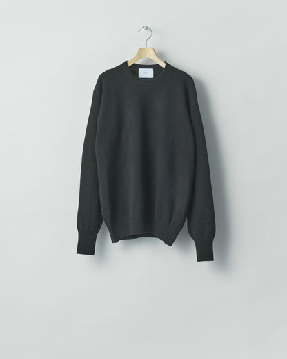 EXTRA FINE WOOL KNIT CREW NECK LS