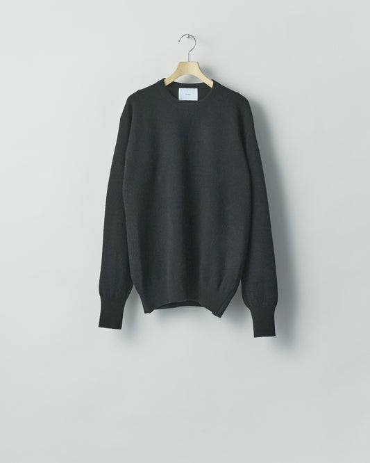 EXTRA FINE WOOL KNIT CREW NECK LS