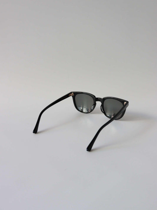 UH0616 / SUNGLASSES